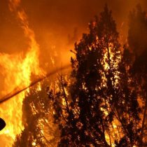 Científica Susana Paula afirma que los incendios deben ser enfrentados como problema sistémico