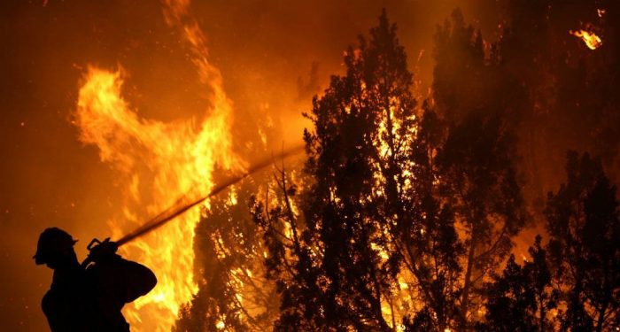Científica Susana Paula afirma que los incendios deben ser enfrentados como problema sistémico