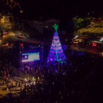 Municipalidad encendió árbol navideño construido con más de 6 mil botellas recicladas