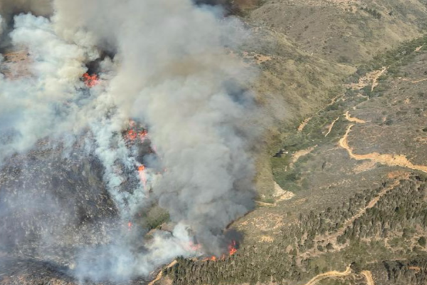 Decretan alerta roja en Algarrobo por incendio forestal: más de 50 hectáreas consumidas