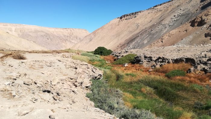 Aprueban la creación del Santuario «Ojo de Opache» en Calama Aprueban la creación del Santuario