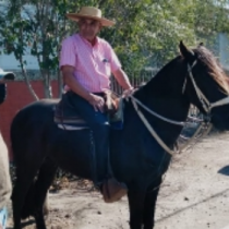 Hombre fue a votar a caballo en Quillota: aludió a 