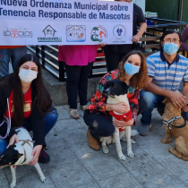 Valoran nueva ordenanza de tenencia responsable de mascotas en la comuna de Temuco
