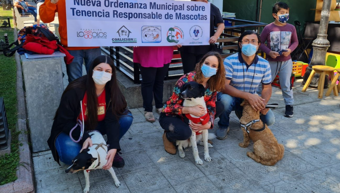 Valoran nueva ordenanza de tenencia responsable de mascotas en la comuna de Temuco