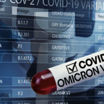 La variante ómicron: responsabilidad de la comunidad internacional