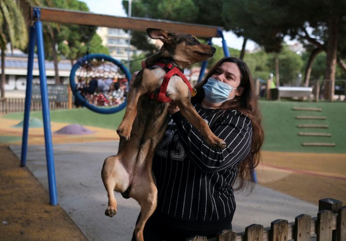 España: bienestar de las mascotas se considerará en los divorcios España: bienestar de las mascotas se considerará en los divorcios