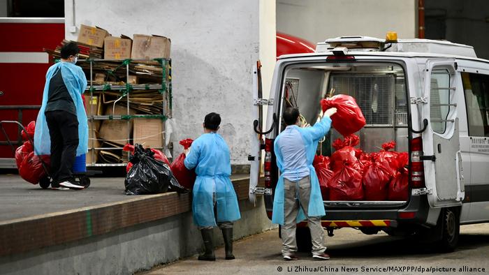 Covid-19: decisión de sacrificar miles de mascotas en Hong Kong causa indignación Covid-19: decisión de sacrificar miles de mascotas en Hong Kong causa indignación