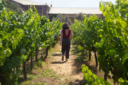 La apuesta por vinos orgánicos, enoturismo sustentable y desarrollo de la economía local campesina