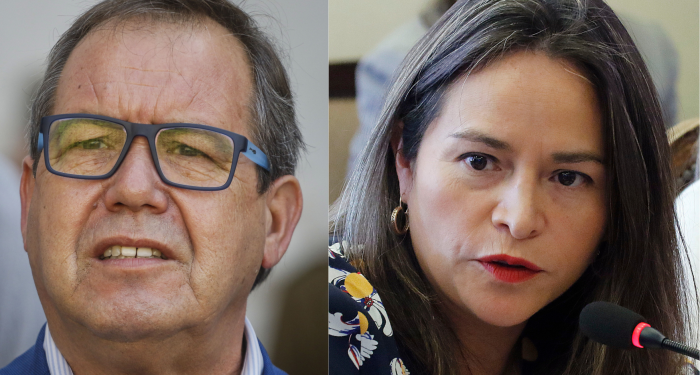 Una segunda vuelta más tensa: DC definirá entre Felipe Delpin y Joanna Pérez la nueva directiva del partido