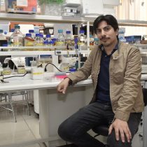 Chilenos exploran sistema inmune para generar anticuerpos más eficaces