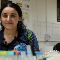 Científica chilena descubre proteína de la encía que podría predecir patologías del envejecimiento