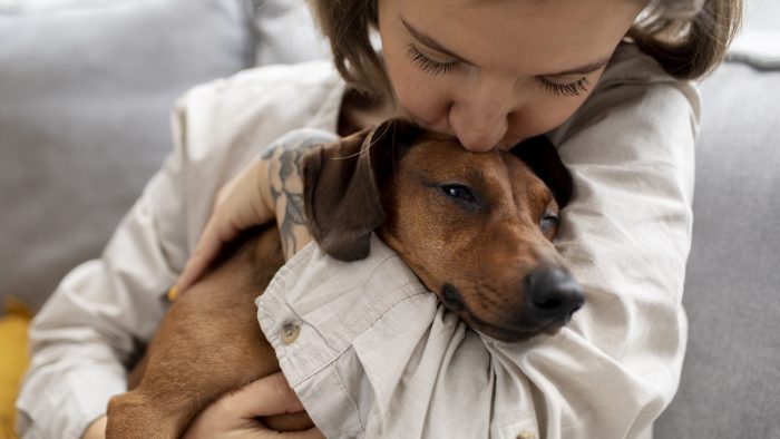 Hoteles caninos: ¿dónde dejar a mi perro si no lo puedo llevar a mis vacaciones? Hoteles caninos: ¿dónde dejar a mi perro si no lo puedo llevar a mis vacaciones?