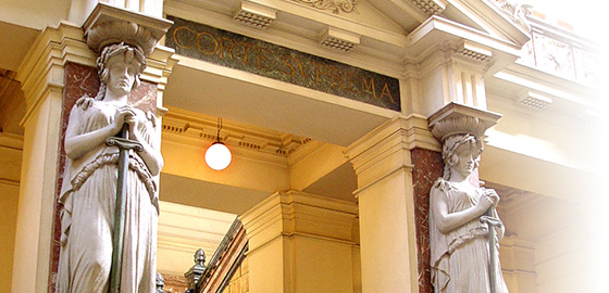 Propuestas sobre judicatura y nueva Constitución: buenos augurios para nuestra democracia