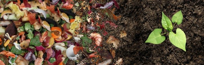 Microplásticos en el compost que abona el campo: un nuevo desafío para la economía circular