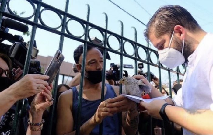 Gabriel Boric recibe pollo ketro en «La Moneda Chica»: «La idea es que el presidente haga un plan nacional de recuperación de esta gallina» Gabriel Boric recibe pollo ketro en