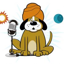 Dos nuevas radios buscan sorprender con música y contenido exclusivo para las mascotas