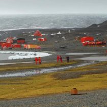 El cambio climático está acelerando el crecimiento de las plantas en la Antártida