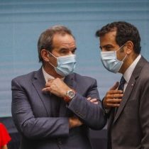 Ministro Delgado defendió al canciller Allamand ante criticas por viaje : 
