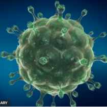 VIH: el caso de la primera mujer en el mundo que se cree logró curarse del virus con un novedoso tratamiento (y por qué es difícil de aplicar a otros enfermos)