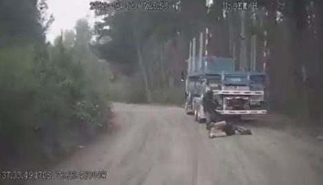 Realizó múltiples disparos: registro mostró ataque armado de encapuchado a camionero en un acto de violencia que terminó con tres heridos en Biobío