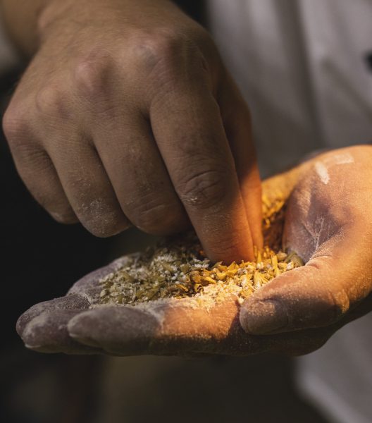 Cervecería está preparando 1000 litros de cerveza con levadura nativa mejorada en laboratorios del país Cervecería está preparando 1000 litros de cerveza con levadura nativa mejorada en laboratorios del país