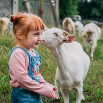 El amor a los animales como base para enseñar empatía en la escuela