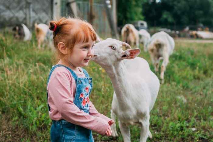 El amor a los animales como base para enseñar empatía en la escuela El amor a los animales como base para enseñar empatía en la escuela