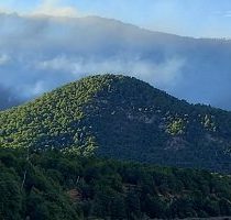 Conaf informó que incendio forestal que afecta a Reserva China Muerta ha arrasado con 180 hectáreas: no ha ingresado al Parque Nacional Conguillío