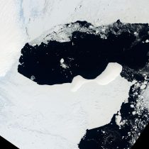 Una plataforma de hielo de más de 1.200 Km2 colapsa en la Antártida