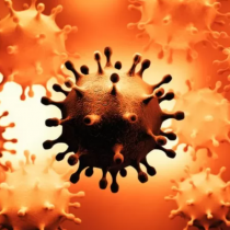 Los virus que pueden permanecer escondidos en el cuerpo y causar problemas décadas después (y qué pasa con el coronavirus)