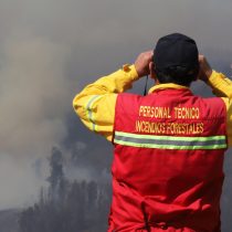 Onemi decreta Alerta Roja en las comunas de Yumbel, Hualqui y Florida por incendios forestales