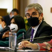 Ministro Marcel anunció que el Gobierno ingresará en junio la reforma tributaria al Congreso