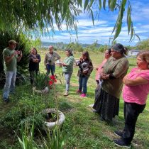 Investigadores y comunidades indígenas rescatan cultura huilliche en Chiloé