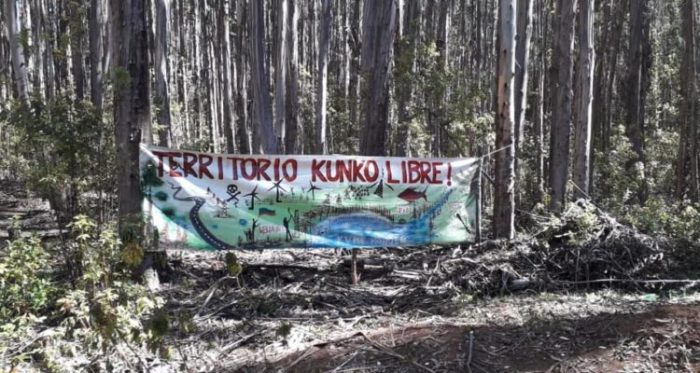 La otra internacionalización del conflicto mapuche: empresas forestales venden sus predios a fondos de inversión extranjera