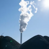 5 formas de salvar al planeta del cambio climático