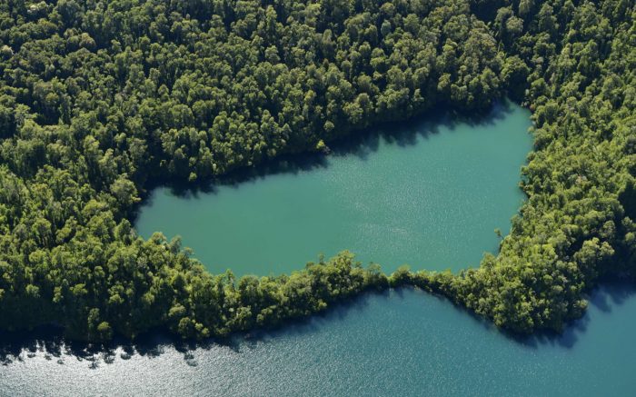 Elaboran el primer mapa de áreas esenciales para la conservación de la biodiversidad y la vida Elaboran el primer mapa de áreas esenciales para la conservación de la biodiversidad y la vida