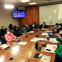 Comisión de Constitución de la Cámara Baja determina fusionar siete proyectos de retiros de fondos de AFP en uno solo