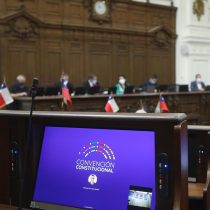 Informe de Sistemas de Conocimientos: Pleno de la Convención solo aprueba en particular artículo sobre principios de bioética