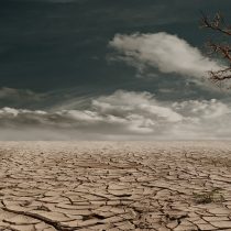Día de la Tierra: Las medidas urgentes que se deben tomar para limitar el cambio climático