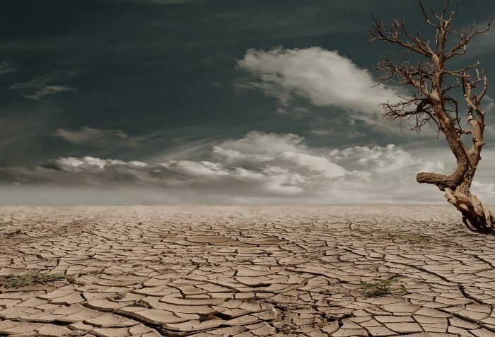 Identifican 27 nuevas amenazas que aceleran el cambio climático Identifican 27 nuevas amenazas que aceleran el cambio climático