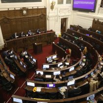 Pleno de la Convención aprueba la democracia participativa y que ciudadanos puedan presentar iniciativas populares de ley