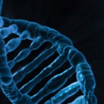 Científicos chilenos buscan nuevos objetivos terapéuticos para enfermedades genéticas raras