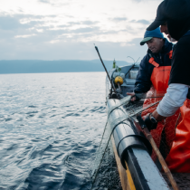 Llaman a profundizar medidas para recuperar las pesquerías, en especial la merluza chilena que cumple 10 años en estado crítico