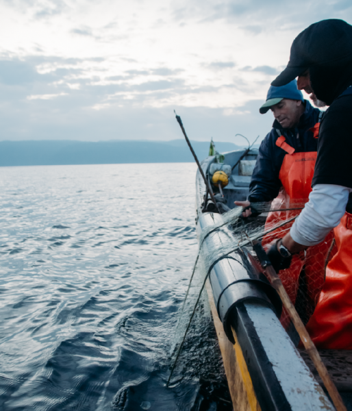 Ley de Caletas: pescadores de La Araucanía, Los Ríos, Los Lagos y Aysén actualizarán planes de administración