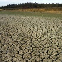 Gobierno exige limitar riego a agricultores del Aconcagua para asegurar agua para consumo humano en región de Valparaíso