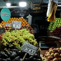 Seguridad y soberanía alimentaria: perspectiva para su aplicación en Chile