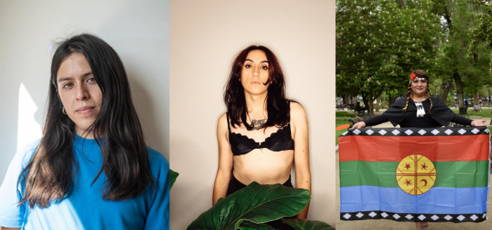 Hacia una mirada mapuche de la diversidad sexogenérica: “Nos interesa reivindicar la idea de pueblo, y no solo una identidad individualista” Hacia una mirada mapuche de la diversidad sexogenérica: “Nos interesa reivindicar la idea de pueblo, y no solo una identidad individualista”