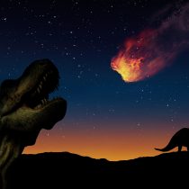 Curso de dinosaurios y astronomía para niños