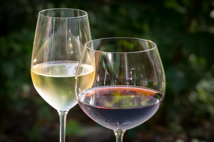 Más que vinos: industria vitivinícola se compromete con diversas causas, desde el cuidado del medio ambiente al apoyo artístico