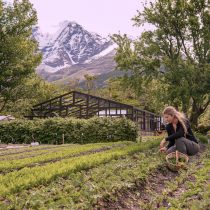 Turismo consciente: desde huertas orgánicas a coctelería sustentable